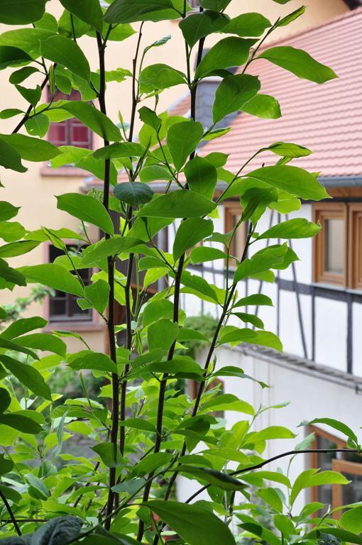 Gastezimmer Am Hof Frankfurt am Main Kültér fotó